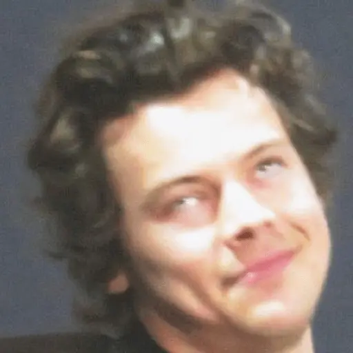 Harry Styles 🍉