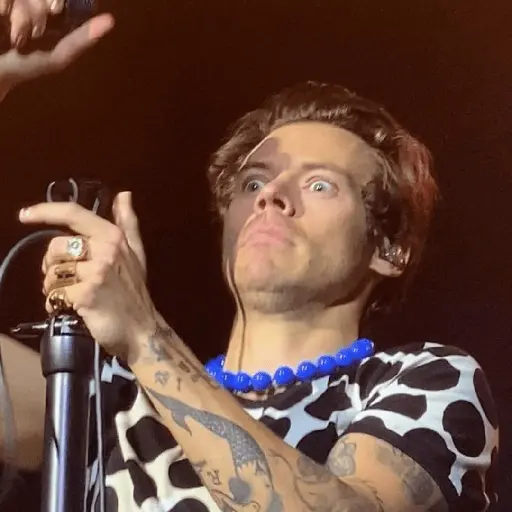 Harry Styles 🍉