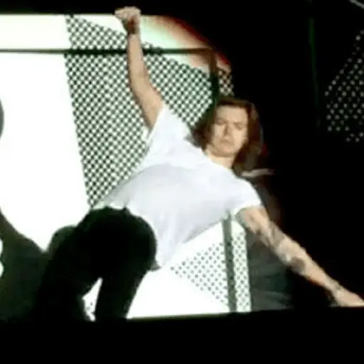 Harry Styles 🍉