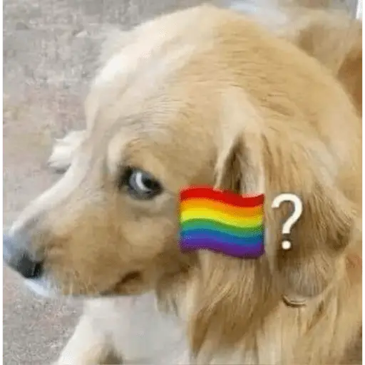 LGBTI 🏳️‍🌈❤️