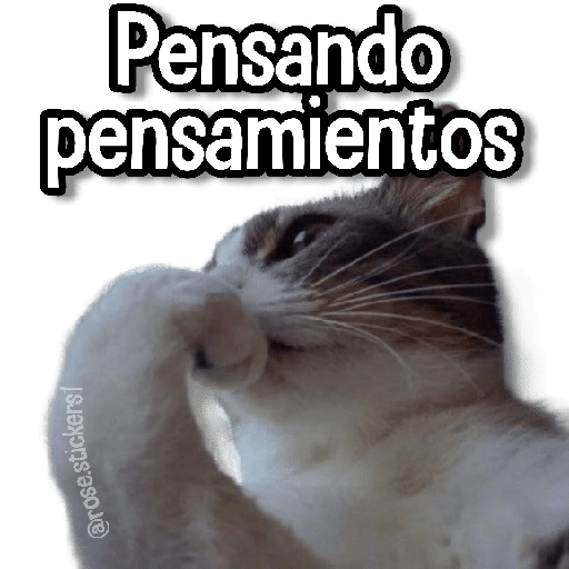 Gatitos Random🐱 preview