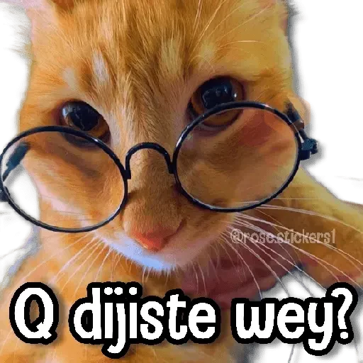 Gatitos Random🐱 sticker 11