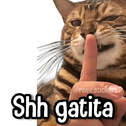 Gatitos Random🐱 preview