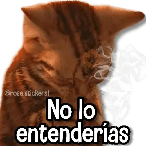 Gatitos Random🐱 sticker 15