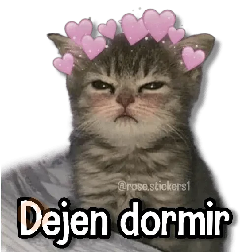 Gatitos Random🐱 sticker 18