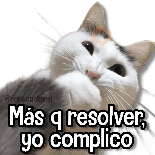 Gatitos Random🐱 sticker 14