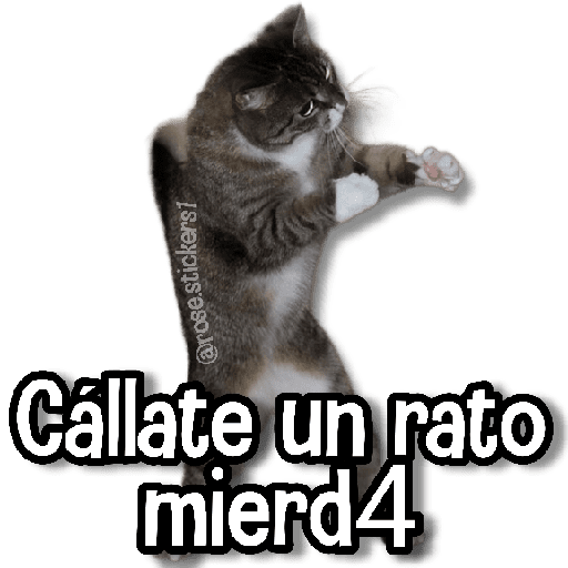 Gatitos Random🐱 preview