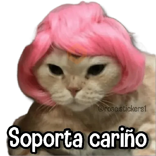 Gatitos Random🐱 sticker 16
