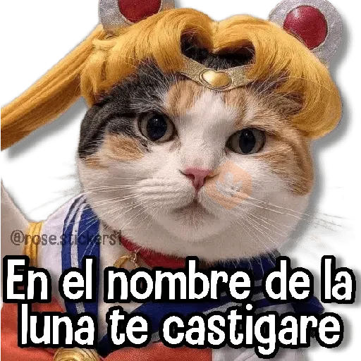Gatitos Random🐱 sticker 19