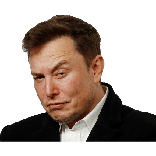 Elon Musk preview