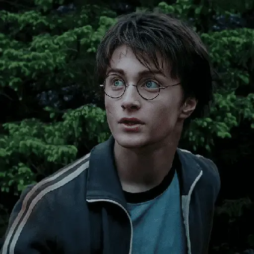 👓 Harry Potter ⚡