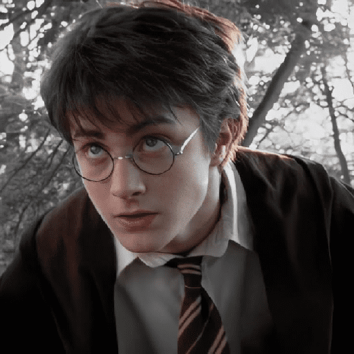 👓 Harry Potter ⚡ preview