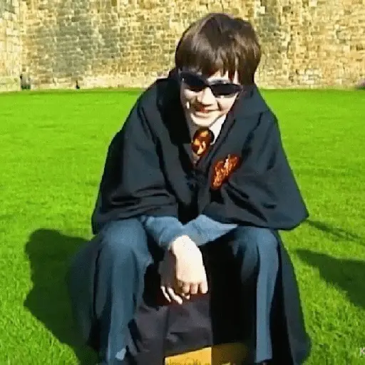 👓 Harry Potter ⚡