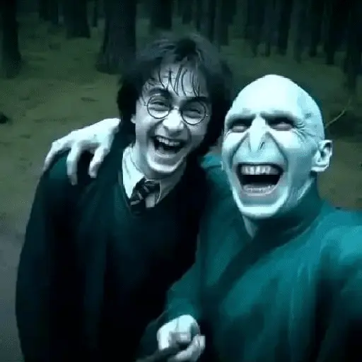 👓 Harry Potter ⚡
