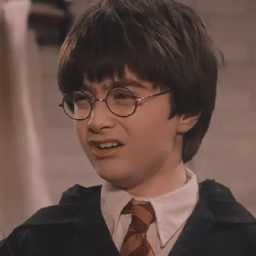 👓 Harry Potter ⚡