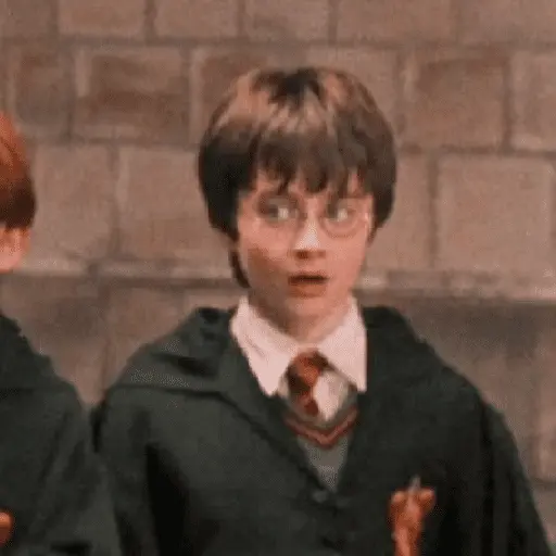 👓 Harry Potter ⚡