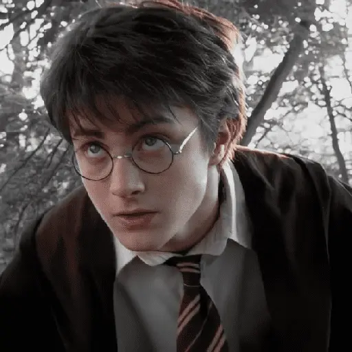 👓 Harry Potter ⚡