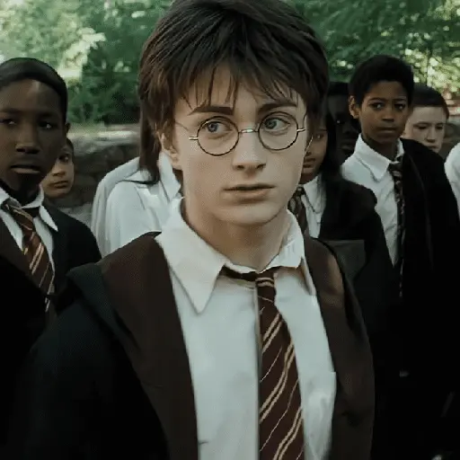 👓 Harry Potter ⚡