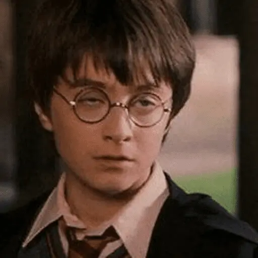 👓 Harry Potter ⚡