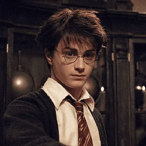 👓 Harry Potter ⚡