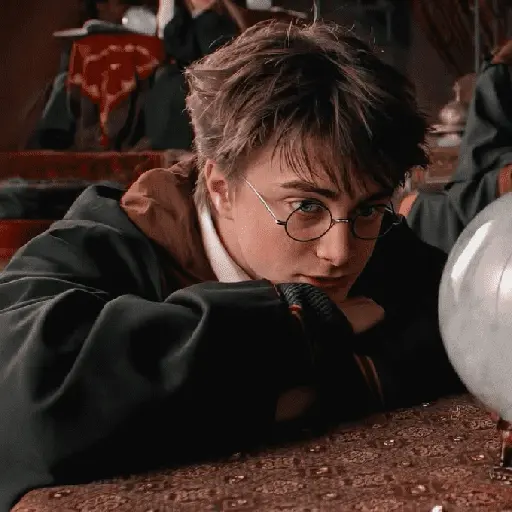 👓 Harry Potter ⚡
