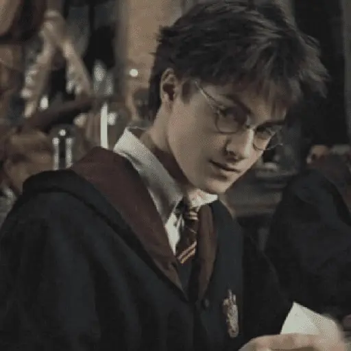 👓 Harry Potter ⚡