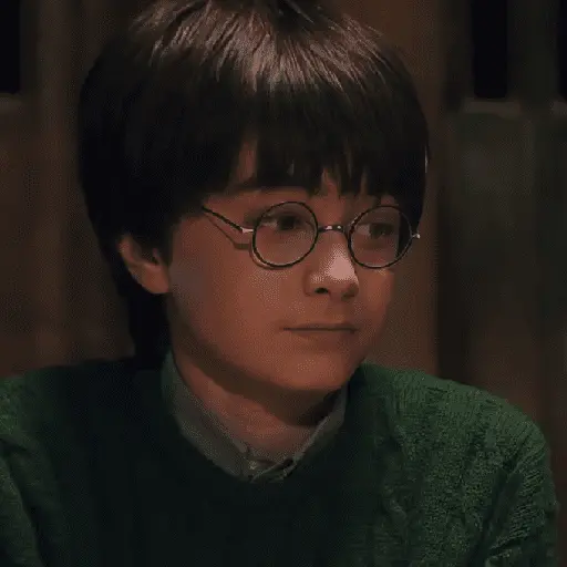 👓 Harry Potter ⚡