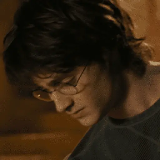 👓 Harry Potter ⚡