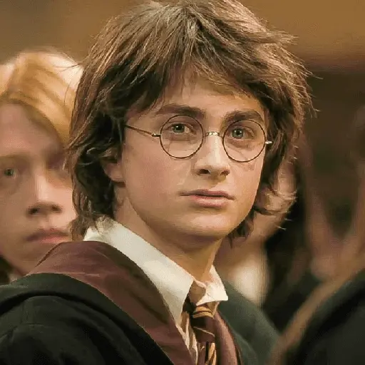 👓 Harry Potter ⚡