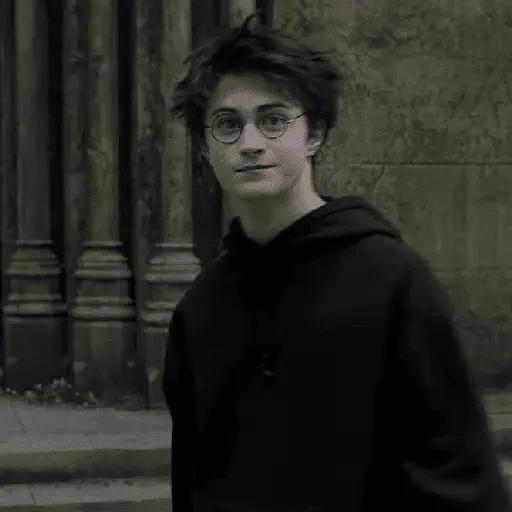 👓 Harry Potter ⚡