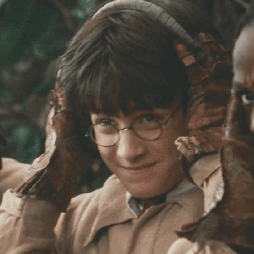 👓 Harry Potter ⚡ preview