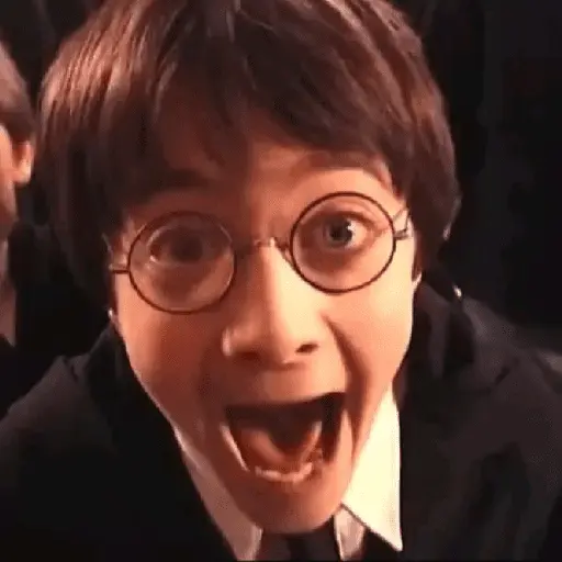 👓 Harry Potter ⚡