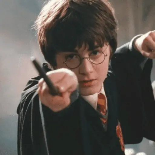 👓 Harry Potter ⚡