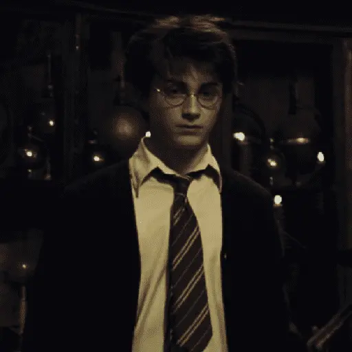 👓 Harry Potter ⚡