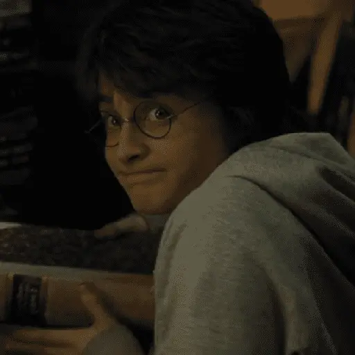👓 Harry Potter ⚡
