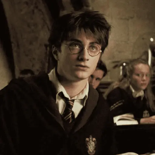 👓 Harry Potter ⚡