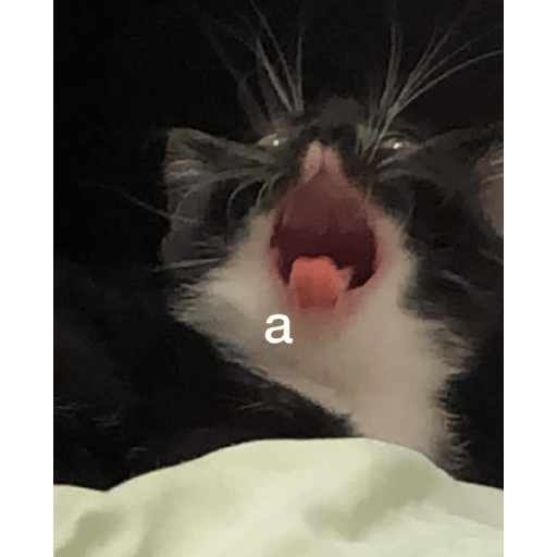 memes Chilenos preview