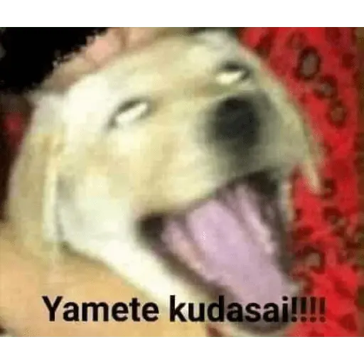 memes Chilenos