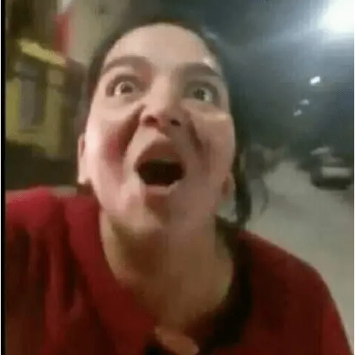 memes chilenos
