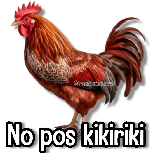 Memes Pal Grupo 2🗣️