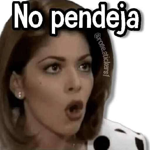 Memes Pal Grupo 2🗣️