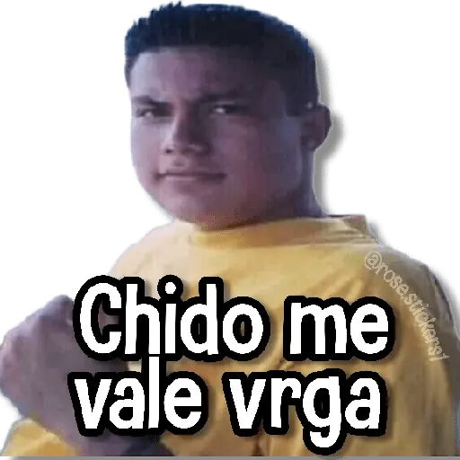 Memes Pal Grupo 2🗣️
