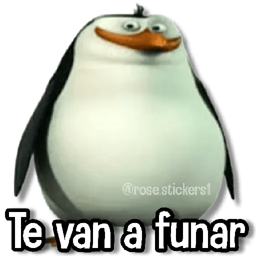 Memes Pal Grupo 2🗣️