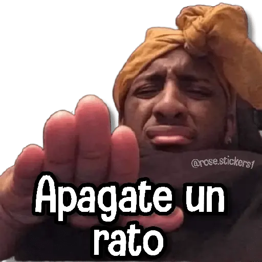 Memes Pal Grupo 2🗣️