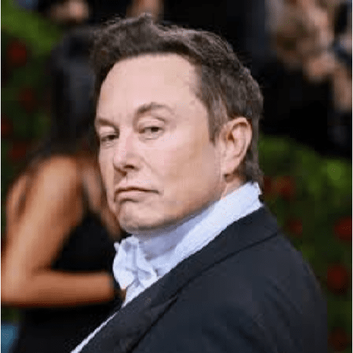 Elon Musk preview