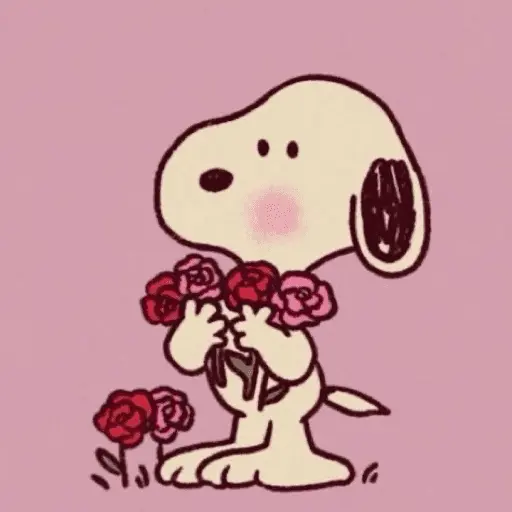 ❤️ SAN VALENTIN 2025 ❤️