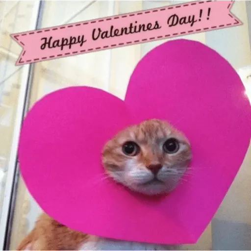 ❤️ SAN VALENTIN 2025 ❤️