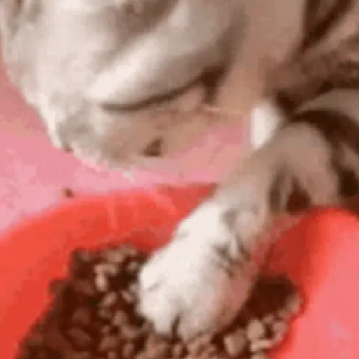 📲UN MIX PAL CHAT 6 📲 preview