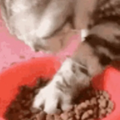 📲UN MIX PAL CHAT 6 📲