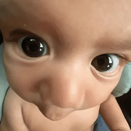 Bebês